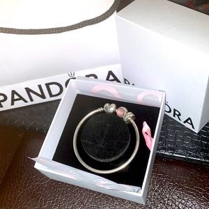 Pandora bangle silver